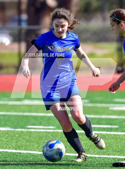 Thumbnail 3 in Norte Dame vs Prospect (CIF CCS D2 Quaterfinal) photogallery.