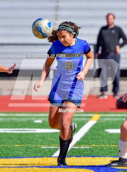 Thumbnail 1 in Norte Dame vs Prospect (CIF CCS D2 Quaterfinal) photogallery.