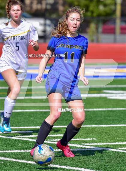 Thumbnail 3 in Norte Dame vs Prospect (CIF CCS D2 Quaterfinal) photogallery.