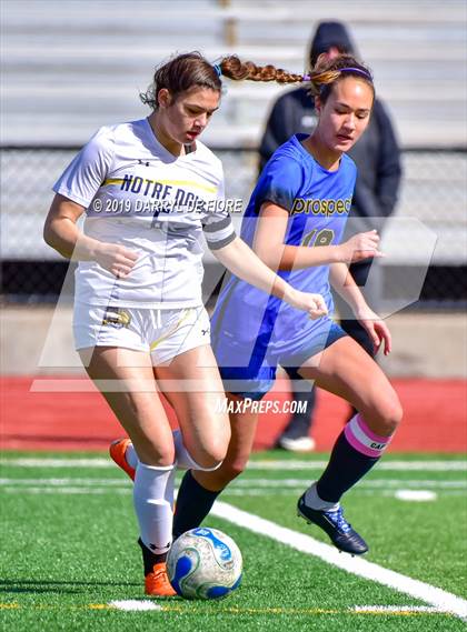 Thumbnail 1 in Norte Dame vs Prospect (CIF CCS D2 Quaterfinal) photogallery.