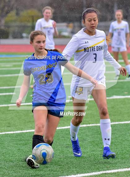 Thumbnail 3 in Norte Dame vs Prospect (CIF CCS D2 Quaterfinal) photogallery.