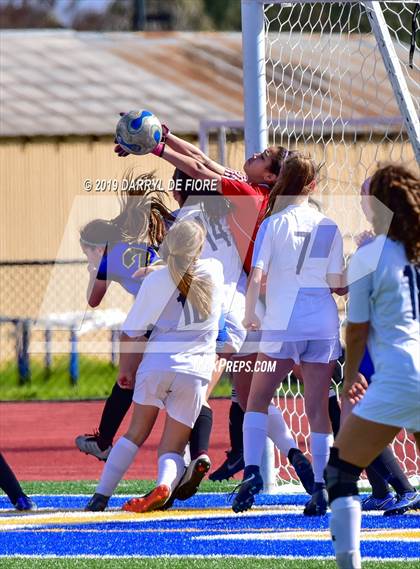 Thumbnail 1 in Norte Dame vs Prospect (CIF CCS D2 Quaterfinal) photogallery.