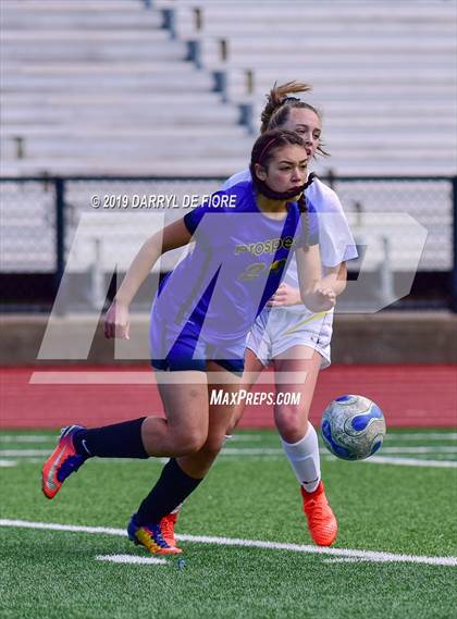 Thumbnail 1 in Norte Dame vs Prospect (CIF CCS D2 Quaterfinal) photogallery.