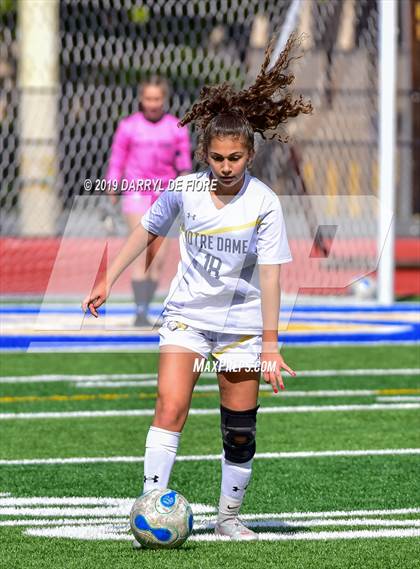 Thumbnail 1 in Norte Dame vs Prospect (CIF CCS D2 Quaterfinal) photogallery.