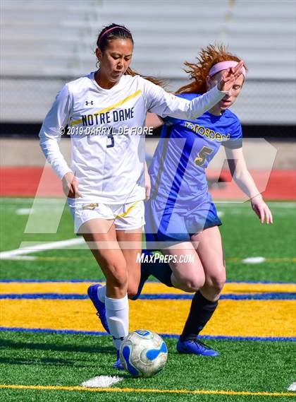Thumbnail 1 in Norte Dame vs Prospect (CIF CCS D2 Quaterfinal) photogallery.