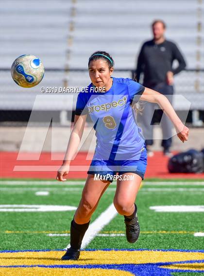 Thumbnail 3 in Norte Dame vs Prospect (CIF CCS D2 Quaterfinal) photogallery.