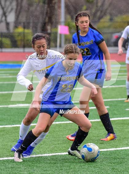 Thumbnail 2 in Norte Dame vs Prospect (CIF CCS D2 Quaterfinal) photogallery.