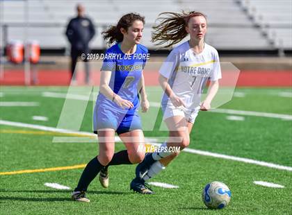 Thumbnail 1 in Norte Dame vs Prospect (CIF CCS D2 Quaterfinal) photogallery.