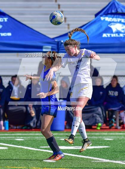 Thumbnail 1 in Norte Dame vs Prospect (CIF CCS D2 Quaterfinal) photogallery.