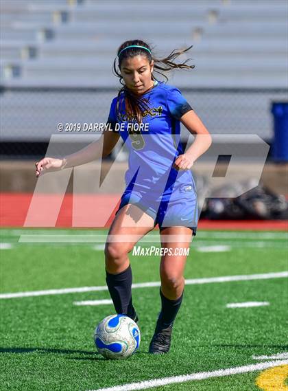 Thumbnail 3 in Norte Dame vs Prospect (CIF CCS D2 Quaterfinal) photogallery.