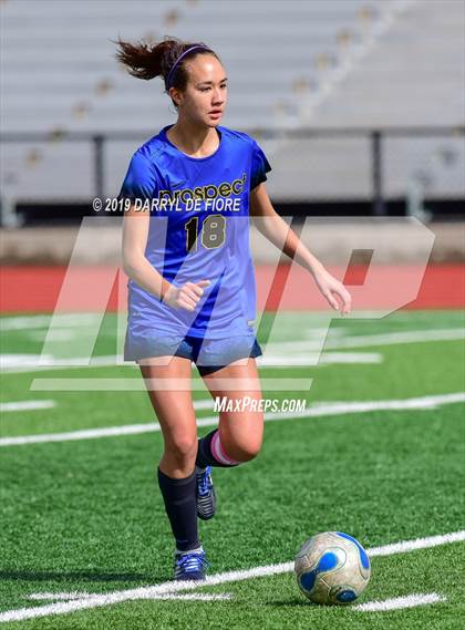 Thumbnail 3 in Norte Dame vs Prospect (CIF CCS D2 Quaterfinal) photogallery.