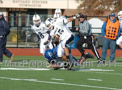 Thumbnail 2 in Morgan @ Coginchaug  photogallery.