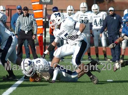 Thumbnail 2 in Morgan @ Coginchaug  photogallery.