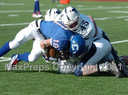 Thumbnail 1 in Morgan @ Coginchaug  photogallery.