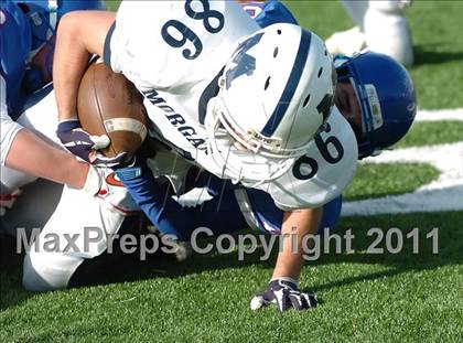 Thumbnail 2 in Morgan @ Coginchaug  photogallery.