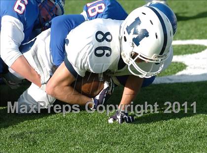 Thumbnail 3 in Morgan @ Coginchaug  photogallery.
