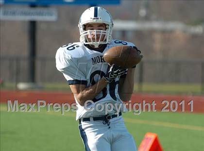 Thumbnail 2 in Morgan @ Coginchaug  photogallery.