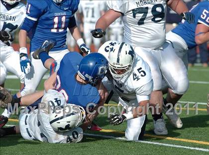 Thumbnail 3 in Morgan @ Coginchaug  photogallery.