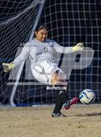Photo from the gallery "Pine Forest @ Westover"