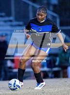 Photo from the gallery "Pine Forest @ Westover"