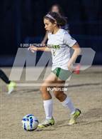 Photo from the gallery "Pine Forest @ Westover"