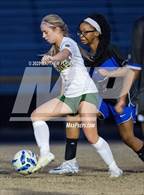 Photo from the gallery "Pine Forest @ Westover"