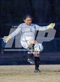 Photo from the gallery "Pine Forest @ Westover"