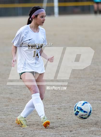 Thumbnail 1 in Pine Forest @ Westover photogallery.