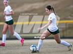 Photo from the gallery "Pine Forest @ Westover"