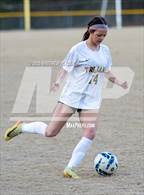 Photo from the gallery "Pine Forest @ Westover"