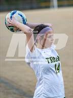 Photo from the gallery "Pine Forest @ Westover"