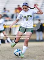 Photo from the gallery "Pine Forest @ Westover"