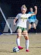 Photo from the gallery "Pine Forest @ Westover"