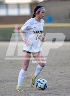 Photo from the gallery "Pine Forest @ Westover"