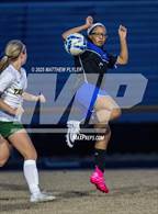 Photo from the gallery "Pine Forest @ Westover"