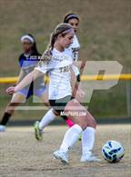 Photo from the gallery "Pine Forest @ Westover"