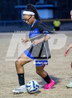 Photo from the gallery "Pine Forest @ Westover"