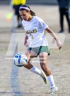 Photo from the gallery "Pine Forest @ Westover"