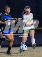 Photo from the gallery "Pine Forest @ Westover"