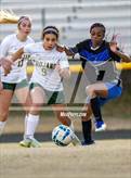 Photo from the gallery "Pine Forest @ Westover"