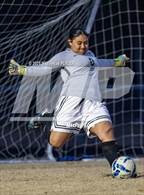 Photo from the gallery "Pine Forest @ Westover"