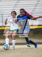 Photo from the gallery "Pine Forest @ Westover"
