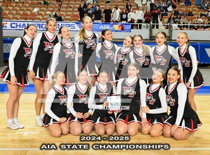 Thumbnail 2 in Game Day and Stunt Championships (AIA Division I and II Awards) photogallery.