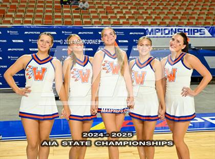 Thumbnail 3 in Game Day and Stunt Championships (AIA Division I and II Awards) photogallery.