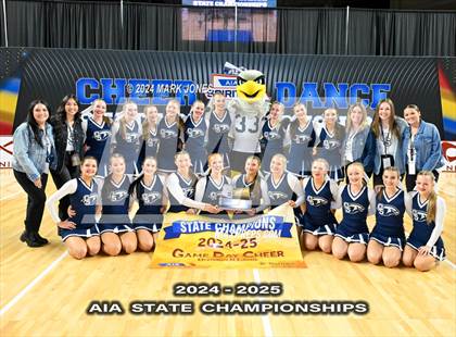 Thumbnail 3 in Game Day and Stunt Championships (AIA Division I and II Awards) photogallery.