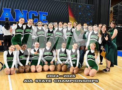 Thumbnail 1 in Game Day and Stunt Championships (AIA Division I and II Awards) photogallery.