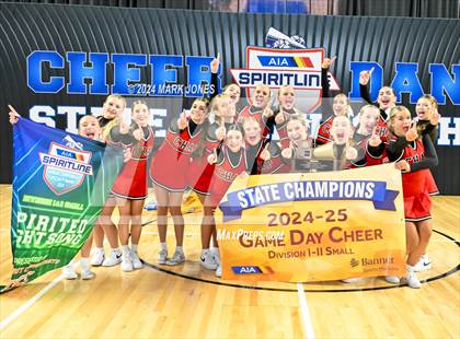 Thumbnail 2 in Game Day and Stunt Championships (AIA Division I and II Awards) photogallery.