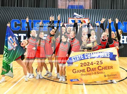 Thumbnail 2 in Game Day and Stunt Championships (AIA Division I and II Awards) photogallery.