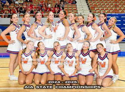 Thumbnail 2 in Game Day and Stunt Championships (AIA Division I and II Awards) photogallery.