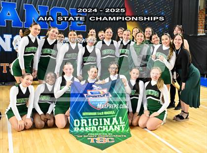 Thumbnail 2 in Game Day and Stunt Championships (AIA Division I and II Awards) photogallery.